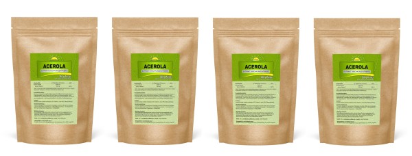 1 kg Sparpack Bonemis® Premium Acerola-Extrakt (hochdosiert, &gt;25% Vitamin C nach HPLC), 4x 250 g